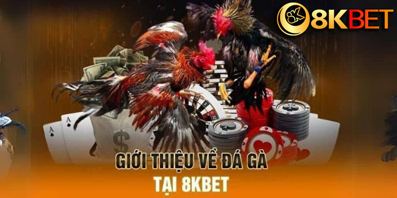 Quy trình đăng ký và giao dịch tại Casino 8kbet